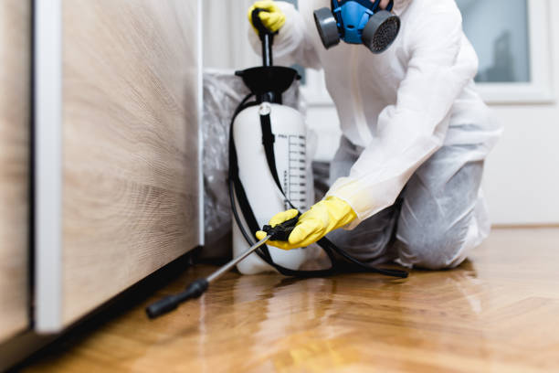 Best Emergency Pest Control  in Sioux City, IA