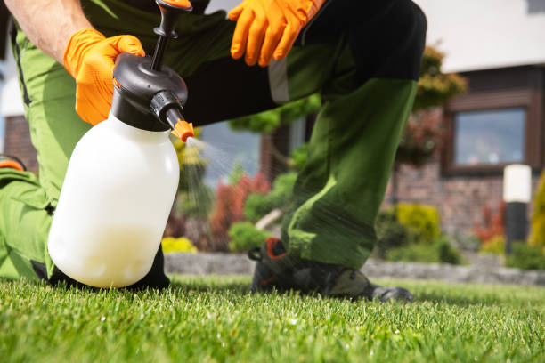 Best Residential Pest Control  in Sioux City, IA