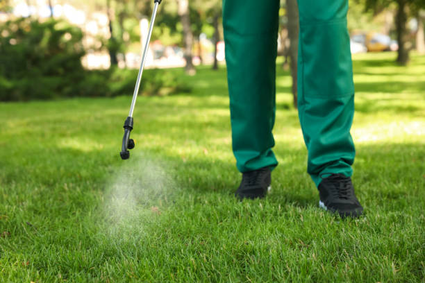 Best Pest Control Treatment  in Sioux City, IA
