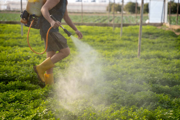 Best Pest Control Near Me  in Sioux City, IA
