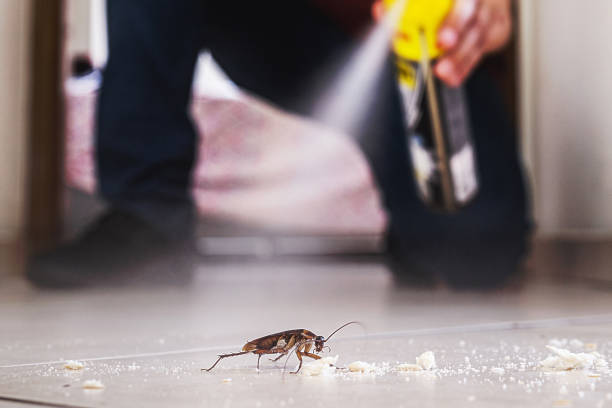 Best Mosquito Control Services  in Sioux City, IA