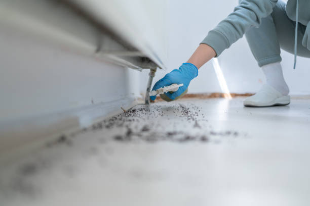 Best Affordable Pest Control Services  in Sioux City, IA