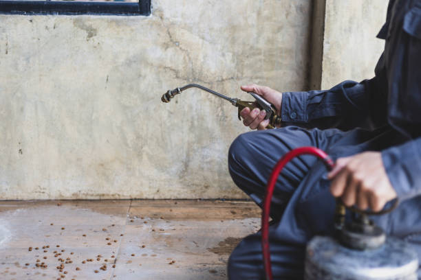 Professional Pest Control in Sioux City, IA