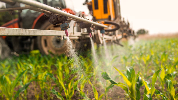 Best Pest Control for Businesses  in Sioux City, IA